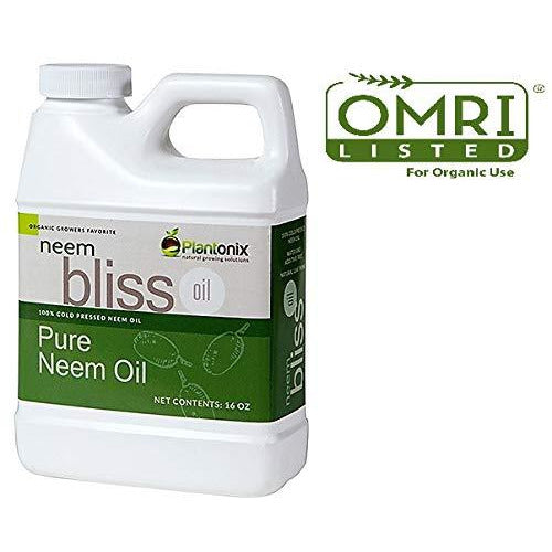 Bliss Gardens