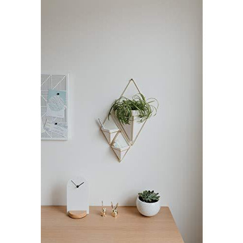 Umbra Trigg Hanging Planter Vase & Geometric Wall Decor Container, Small, White/Brass