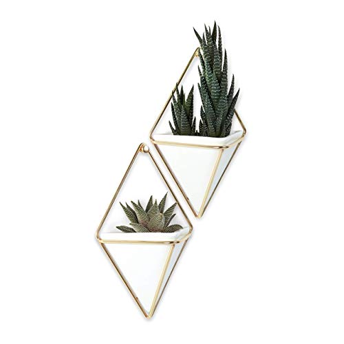 umbra trigg hanging planter Umbra Trigg Hanging Planter Vase & Geometric Wall Decor Container, Small, White/Brass