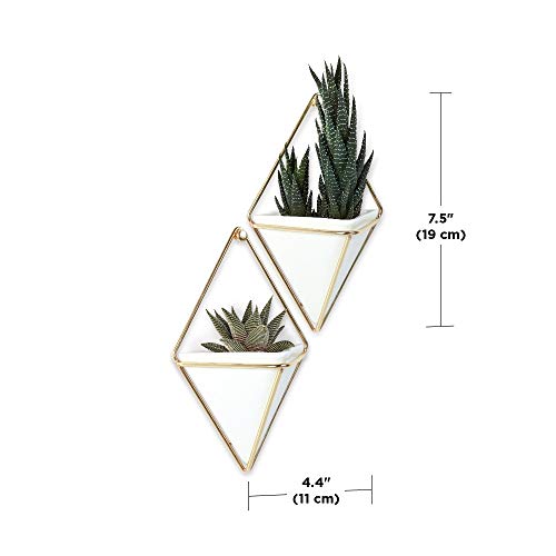 white geometric hanging planter Umbra Trigg Hanging Planter Vase & Geometric Wall Decor Container, Small, White/Brass