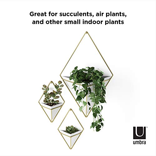triangle hanging planter Umbra Trigg Hanging Planter Vase & Geometric Wall Decor Container, Sma – Danielle Walker