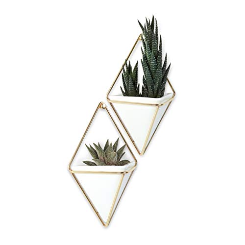 trigg hanging planter Umbra Trigg Hanging Planter Vase & Geometric Wall Decor Container, Small, White/Brass
