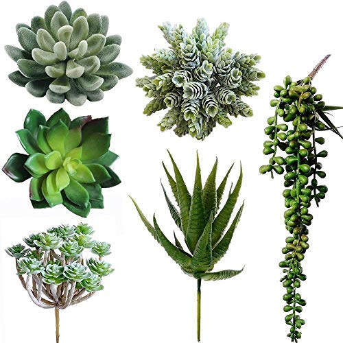 cheap fake succulents Winlyn 6 Pcs Unpotted Fake Succulents Assorted Faux Succulent in Different Green Artificial Hanging Succulents Textured Faux Succulent Pick Hanging