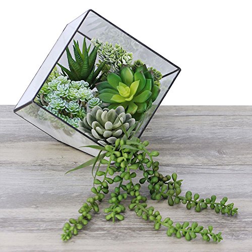 fake unpotted succulents Winlyn 6 Pcs Unpotted Fake Succulents Assorted Faux Succulent in Different Green Artificial Hanging Succulents Textured Faux Succulent Pick Hanging