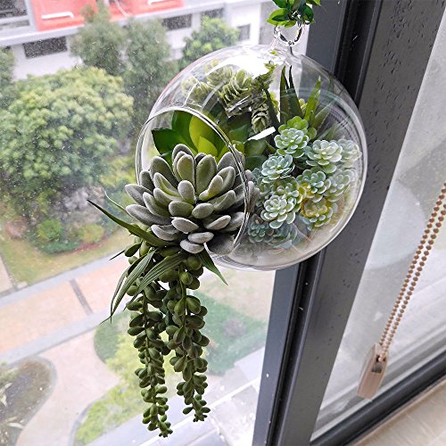 succulent hanging planter Winlyn 6 Pcs Unpotted Fake Succulents Assorted Faux Succulent in Diffe – Danielle Walker