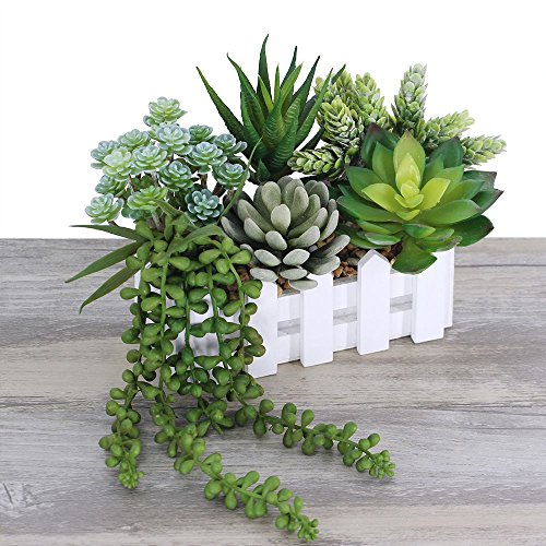 succulent plants faux Winlyn 6 Pcs Unpotted Fake Succulents Assorted Faux Succulent in Different Green Artificial Hanging Succulents Textured Faux Succulent Pick Hanging