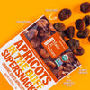 Made In Nature Organic Dried Apricots 20 Ounce (Pack of 1)