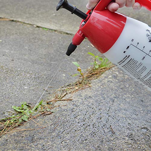 Chapin 1002 48 oz. hand sprayer for multi-purpose use - weed killer Danielle Walker