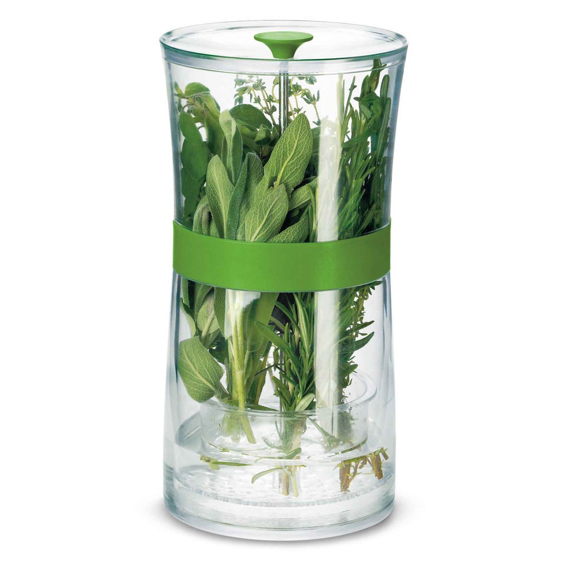 GreenSaver Herb Keeper - Large