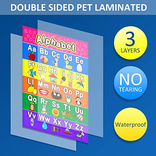 Educational preschool 12 piece poster set for toddlers and kids with glue point dots are double sided set laminated Danielle Walker