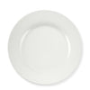 Open Kitchen by Williams Sonoma Dinner Plates